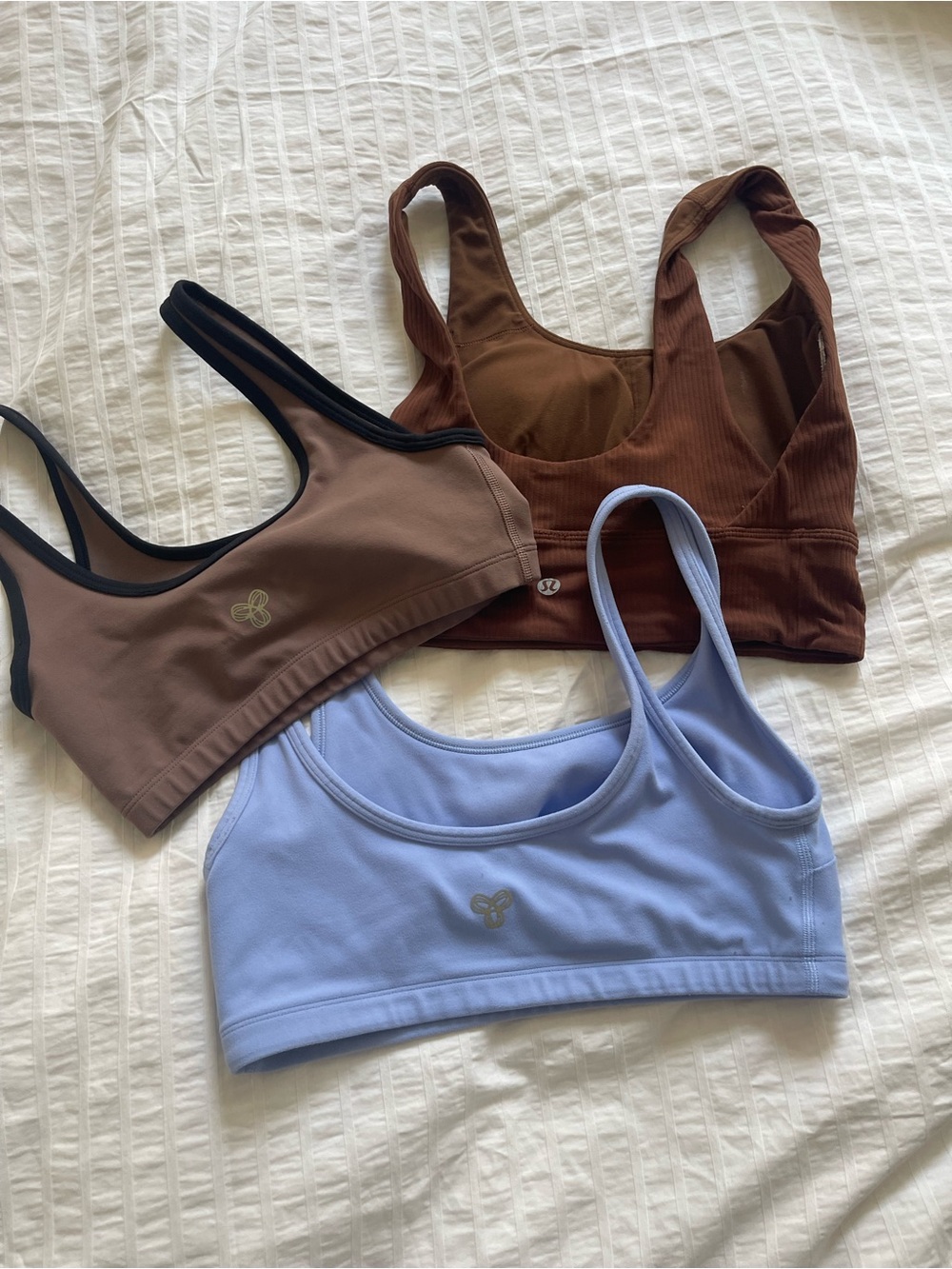 Aritzia Scoop Bralette Trio in Blue, Brown, and Dark Brown